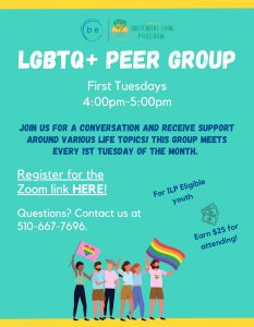 LGBTQ+ Peer Group @ Online